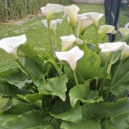 Moment Detente Daire Coulogne